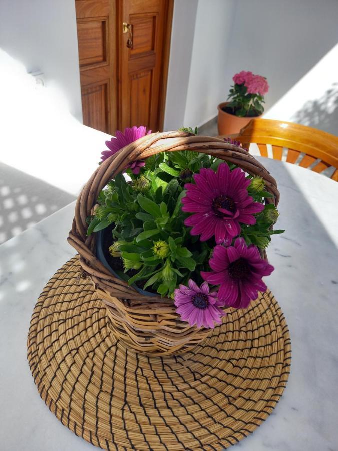 Patmos Little Suites Skála Esterno foto